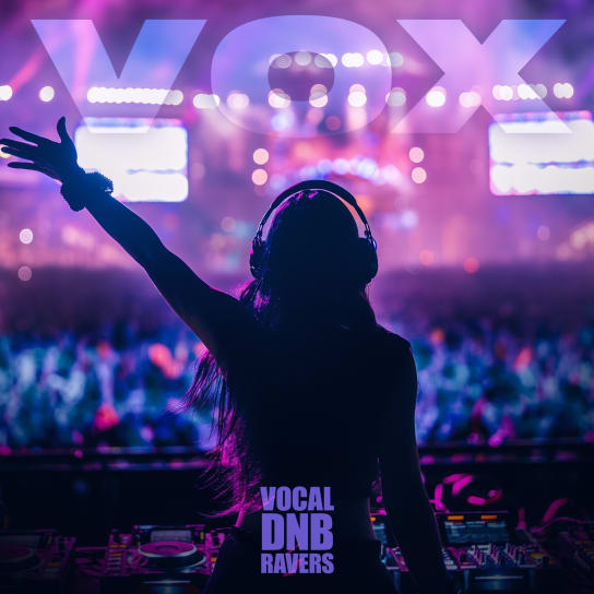 【 Drum Bass风格人声采样包】VOX Vocal DnB Ravers