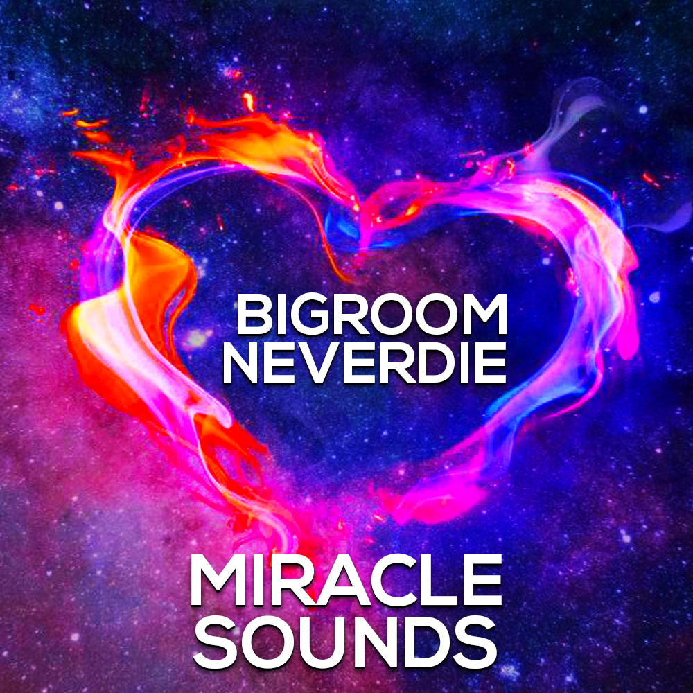 【Bigroom风格采样套件包】Miracle Sounds – Bigroom Neverdie