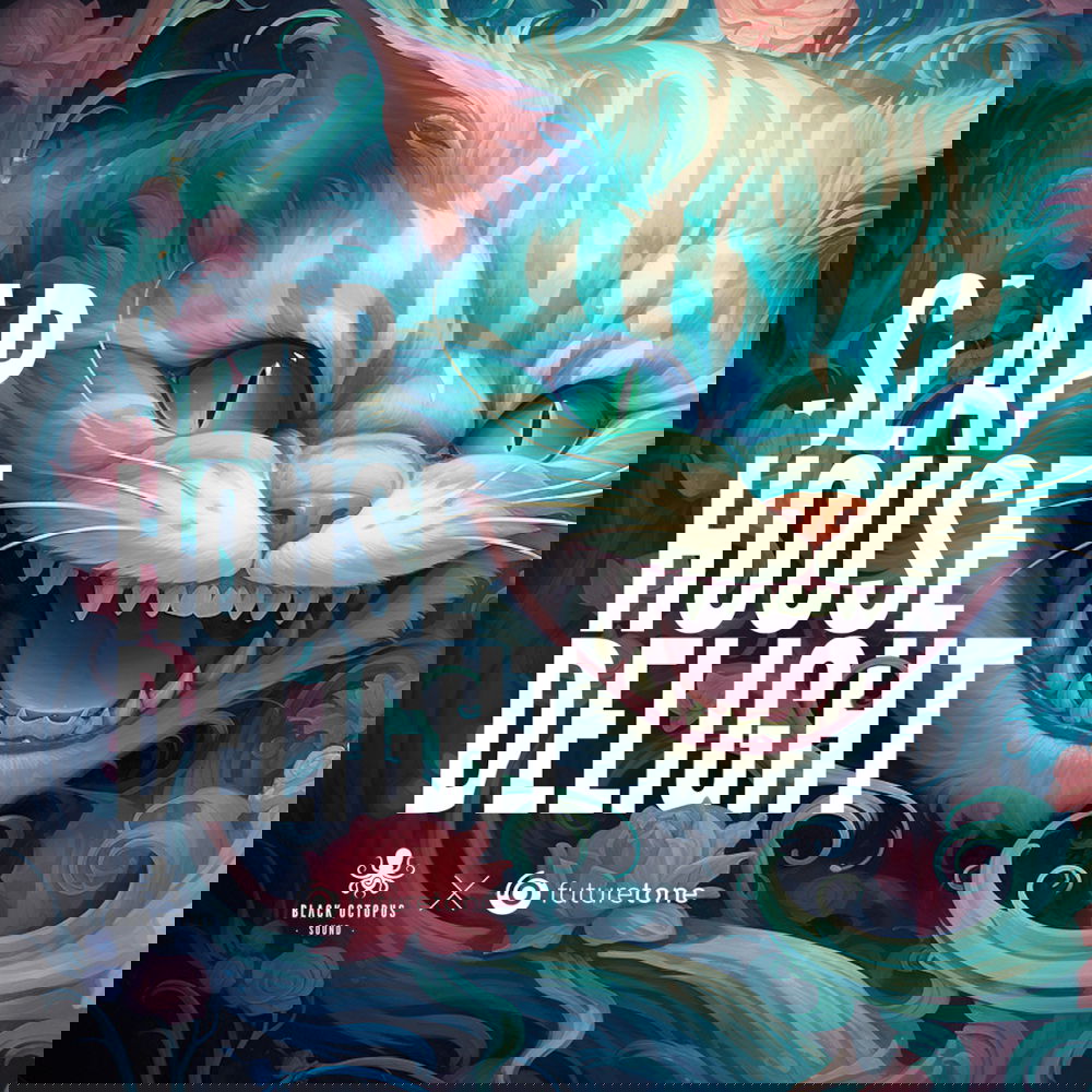 【Slap House多风格采样包】Black Octopus Sound – Slap House Delight by Futuretone